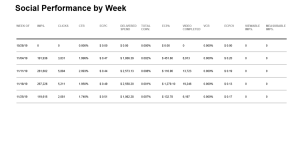 Data table showing the performance of a social line item by week